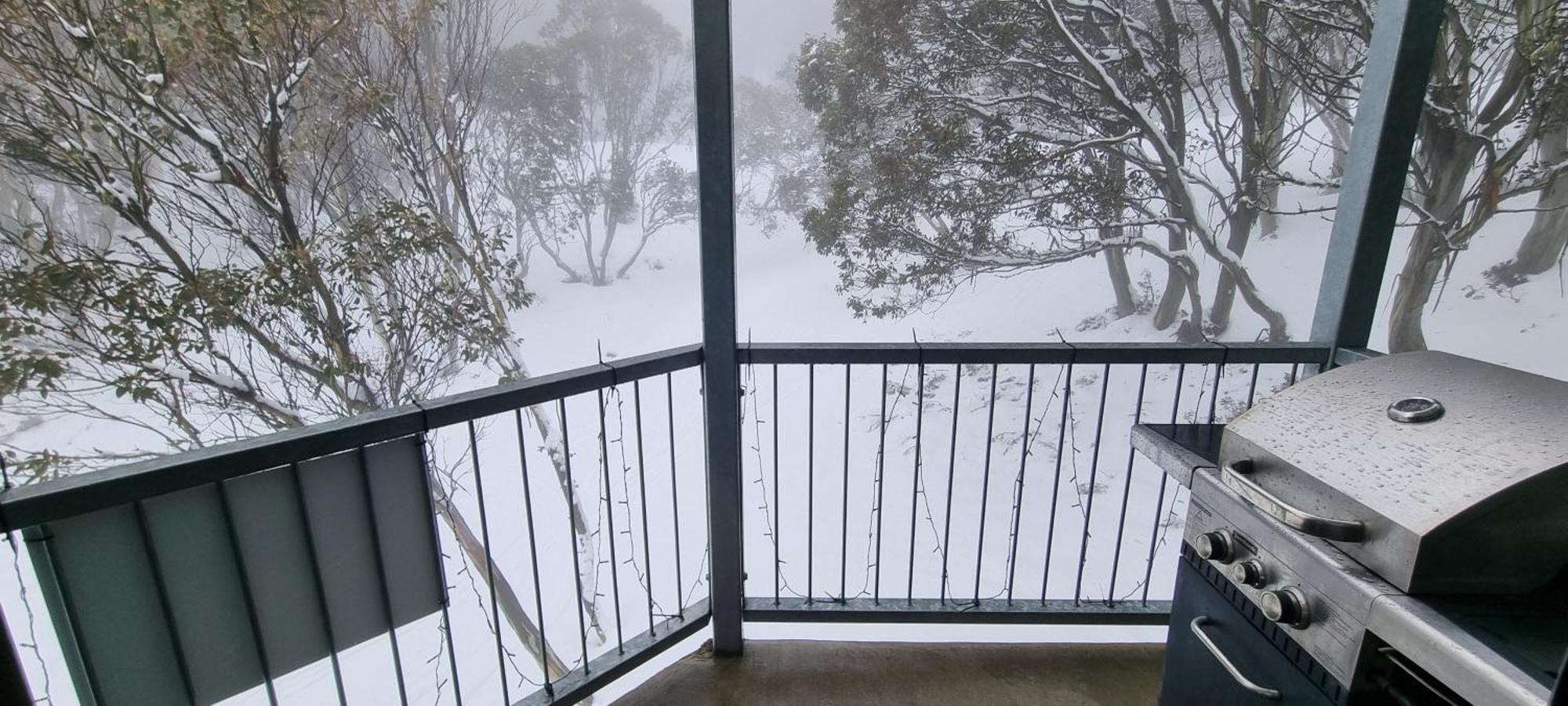 Cedarwood Apartments Falls Creek Kültér fotó