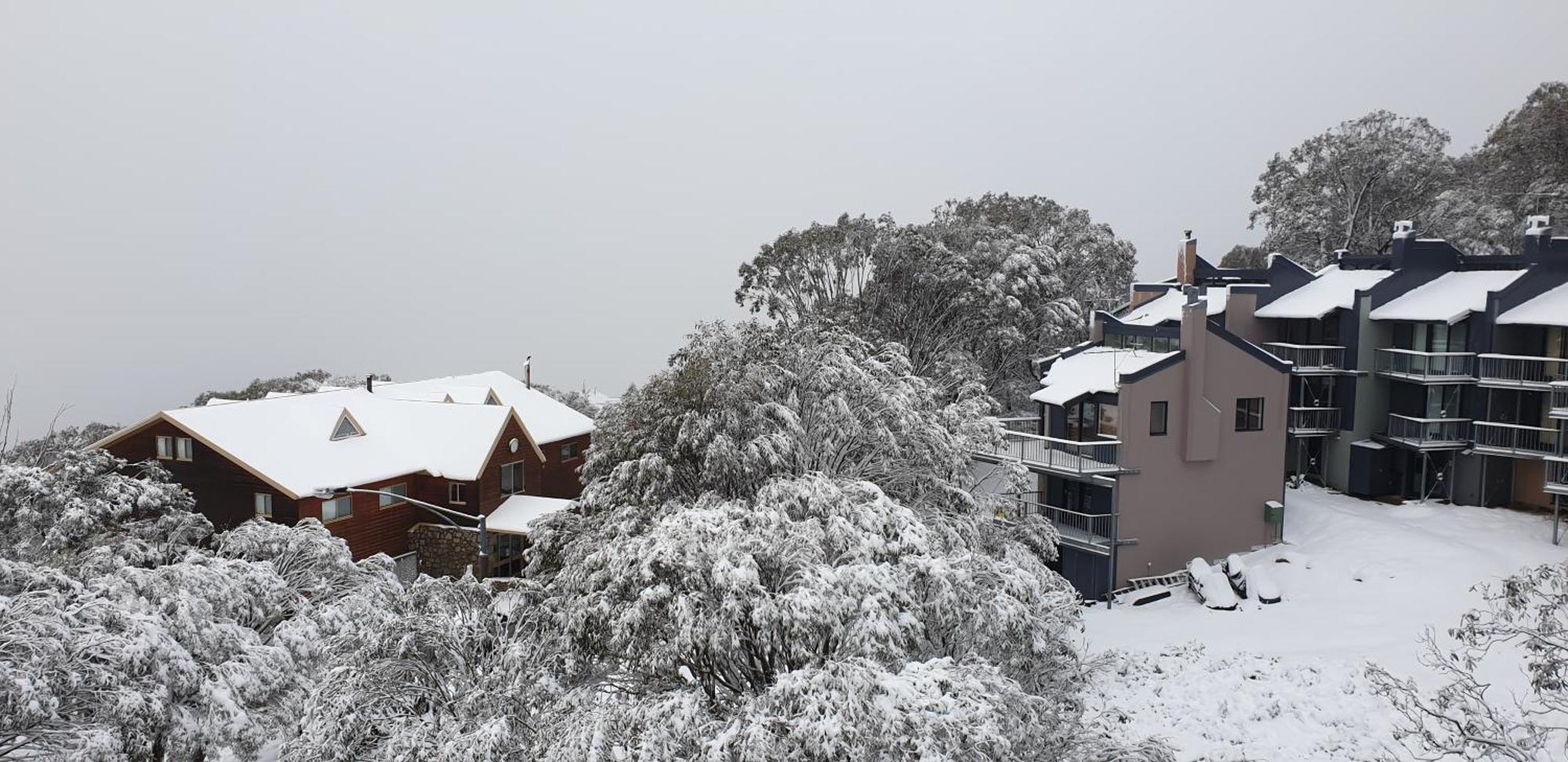Cedarwood Apartments Falls Creek Kültér fotó